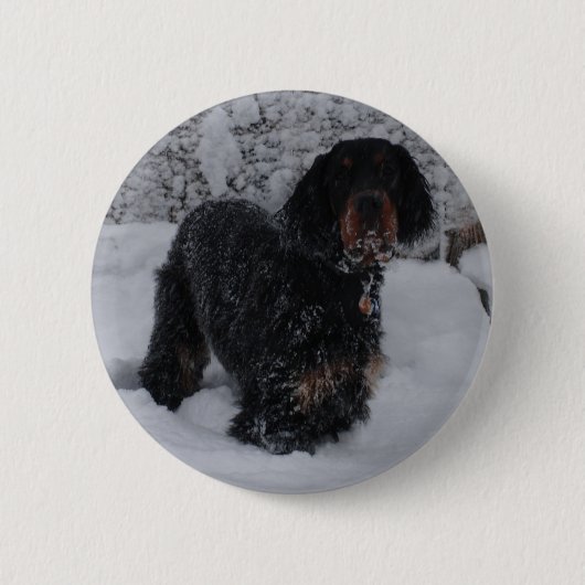 Gordon Setter Puppy Button (Voorkant)