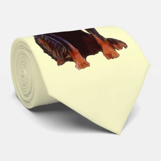 gordon setter stropdas (Opgerold)