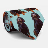 gordon setter stropdas #2 (Opgerold)