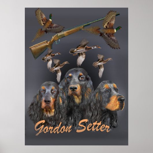 Gordon Setter trio hunts Poster (Voorkant)