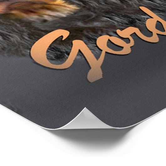 Gordon Setter trio hunts Poster (Hoek)