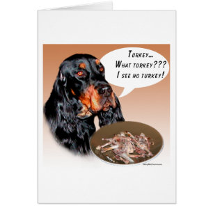 Gordon Setter Turkey