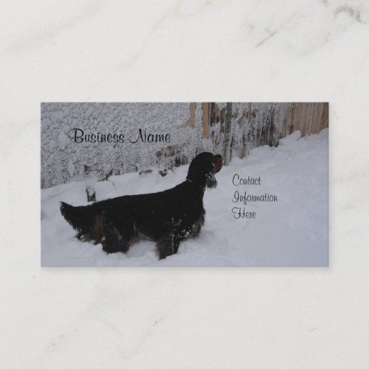 Gordon Setter Winter Visitekaartjes (Voorkant)