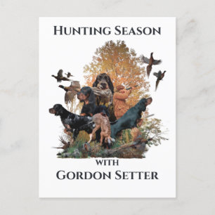 Gordon setters, Art Briefkaart