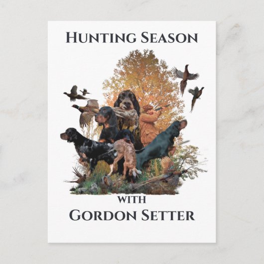 Gordon setters, Art Briefkaart (Voorkant)