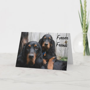 Gordon Setters Forever Friends Note Kaart