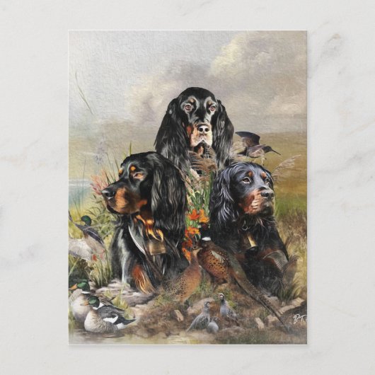 Gordon Setters, Passie voor vogels, Kunst Briefkaart (Voorkant)