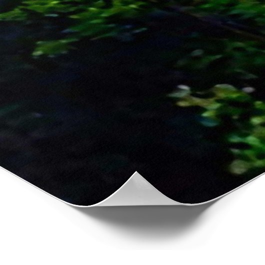 GORGE IN ITHACA NEW YORK CANVAS PRINT (Hoek)