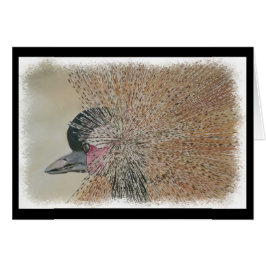 GORGEEUS AFRIKAANSE KRANE