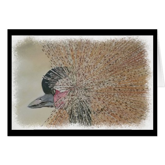 GORGEEUS AFRIKAANSE KRANE (Voorkant Horizontaal)