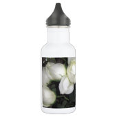 GORGEEUS BOUW VAN WITTE ROSSEN WATERFLES  (Links)