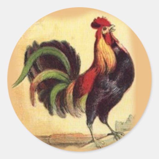Gorgeoud Rooster Stickers (Voorkant)