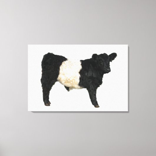 Gorgeous Belted Galloway Steer Cutout Beltie Gift Canvas Afdruk (Voorkant)