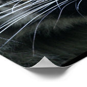 Gorgeous Bengal Tiger Face Poster (Hoek)