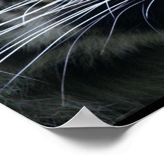 Gorgeous Bengal Tiger Face Poster (Hoek)