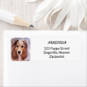 GORGEOUS COLLIE ETIKET (Insitu)