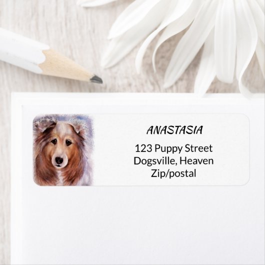 GORGEOUS COLLIE ETIKET (Insitu)