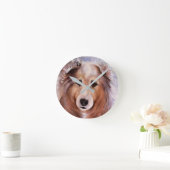 GORGEOUS COLLIE RONDE KLOK (Huis)
