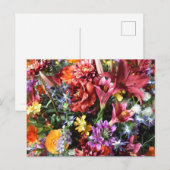 gorgeous, flamboyant flowers. briefkaart (Voorkant / Achterkant)