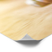 Gorgeous french bulldog lying down poster (Hoek)