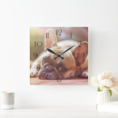 Gorgeous french bulldog lying down vierkante klok (Huis)