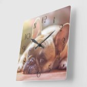 Gorgeous french bulldog lying down vierkante klok (Hoek)