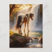 Gorgeous Horse at the Waterfall Briefkaart (Voorkant)
