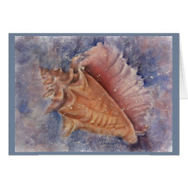 GORGEOUS OCEAN CONCH SHELL