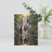 Gorgeous Pinto Horse at the Waterfall Briefkaart (Staand voorkant)