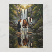 Gorgeous Pinto Horse at the Waterfall Briefkaart (Voorkant)