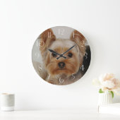 Gorgeous Yorkshire Terrier Grote Klok (Huis)
