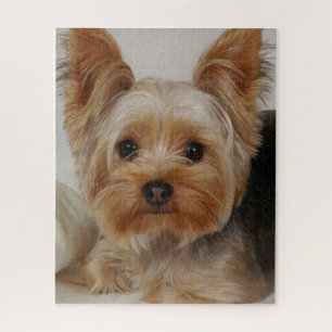 Gorgeous Yorkshire Terrier Legpuzzel