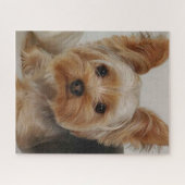 Gorgeous Yorkshire Terrier Legpuzzel (Horizontaal)