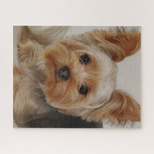 Gorgeous Yorkshire Terrier Legpuzzel (Horizontaal)