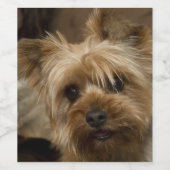 Gorgeous Yorkshire Terrier Wijn Etiket (Enkel label)