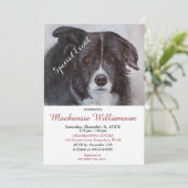 GORGEOUS ZWARTE GRENSCOLLIE WISHEERT HAPPY BIRTHDA KAART (Staand voorkant)