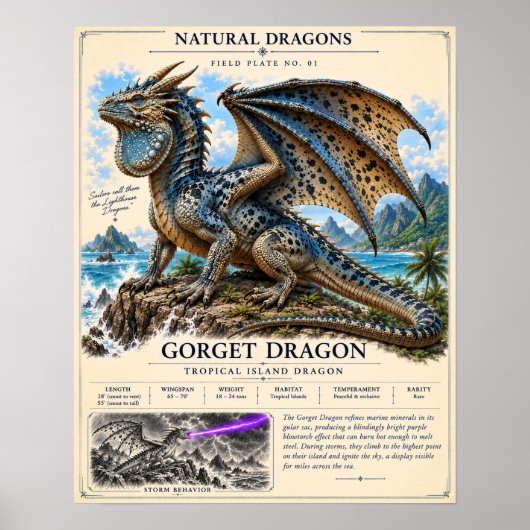 Gorget Draak Veldplaat Poster (Voorkant)