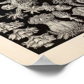 Gorgonida-kleur Ernst Haeckel Art Print (Hoek)