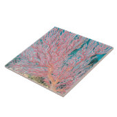 Gorgonisch koraal 3 tegeltje (Zijkant)