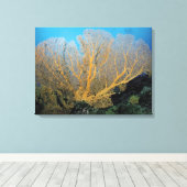 Gorgonisch koraal canvas afdruk (Insitu (Houten vloer))
