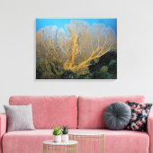 Gorgonisch koraal canvas afdruk (Insitu (Woonkamer))