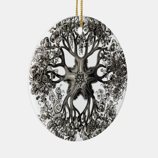 Gorgonocephalidae van Ernst Haeckel Keramisch Ornament (Rechts)