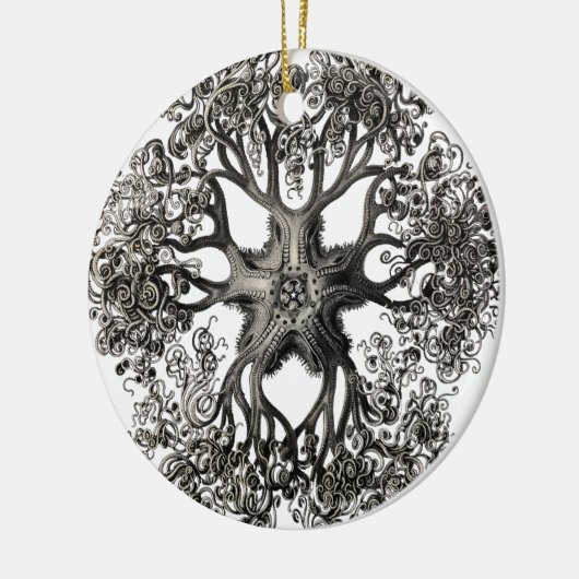 Gorgonocephalidae van Ernst Haeckel Keramisch Ornament (Links)