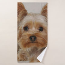 Gorgood Yorkshire Terrier