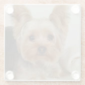 Gorgood Yorkshire Terrier Glazen Onderzetter (Achterkant)