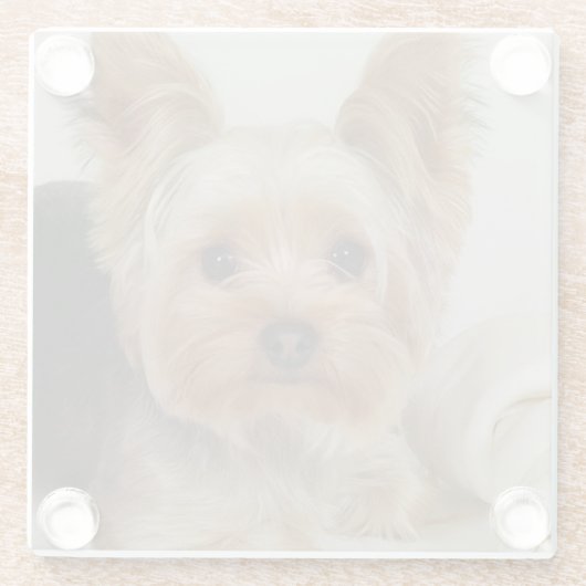 Gorgood Yorkshire Terrier Glazen Onderzetter (Achterkant)