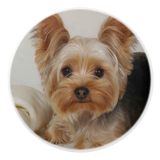 Gorgood Yorkshire Terrier Keramische Knop (Voorkant)
