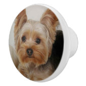 Gorgood Yorkshire Terrier Keramische Knop (Rechts)