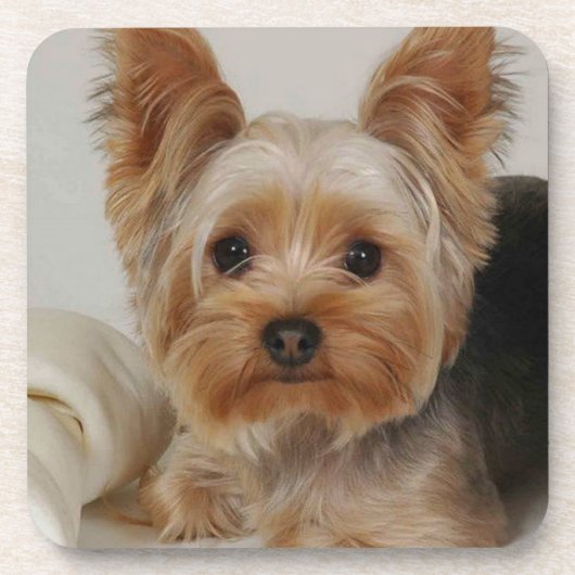 Gorgood Yorkshire Terrier Onderzetter (Voorkant)