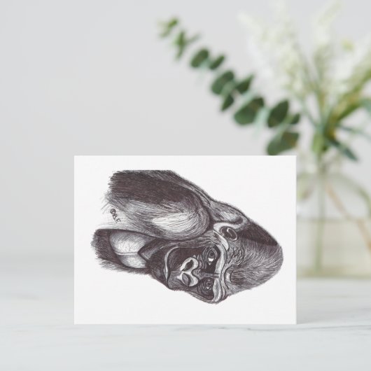 GORILA BRIEFKAART (Staand voorkant)